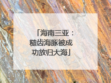 海南三亚：糙齿海豚被成功放归大海