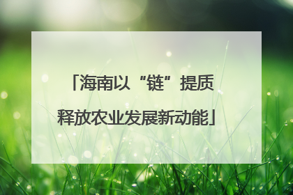 海南以“链”提质 释放农业发展新动能