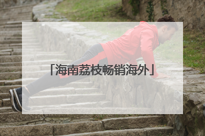 海南荔枝畅销海外