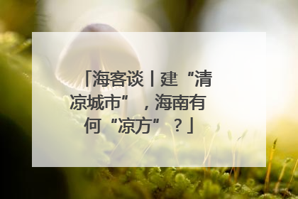 海客谈丨建“清凉城市”，海南有何“凉方”？