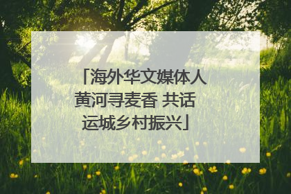 海外华文媒体人黄河寻麦香 共话运城乡村振兴