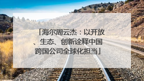 海尔周云杰：以开放、生态、创新诠释中国跨国公司全球化担当
