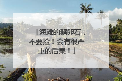 海滩的鹅卵石，不要捡！会有很严重的后果！