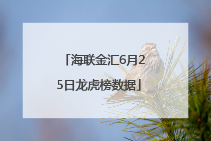 海联金汇6月25日龙虎榜数据
