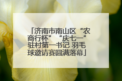 济南市南山区“农商行杯”“庆七一”驻村第一书记 羽毛球邀请赛圆满落幕