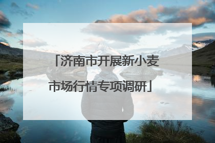 济南市开展新小麦市场行情专项调研