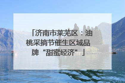 济南市莱芜区：油桃采摘节催生区域品牌“甜蜜经济”