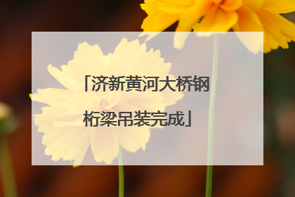 济新黄河大桥钢桁梁吊装完成