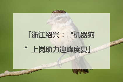 浙江绍兴：“机器狗”上岗助力迎峰度夏