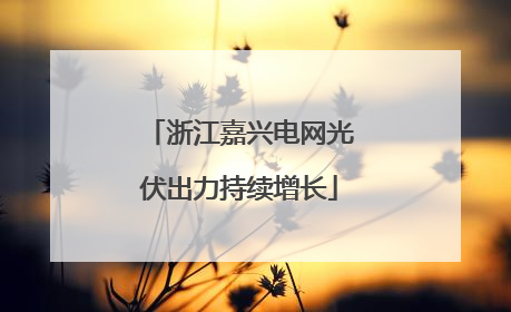 浙江嘉兴电网光伏出力持续增长