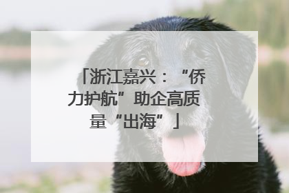 浙江嘉兴：“侨力护航”助企高质量“出海”
