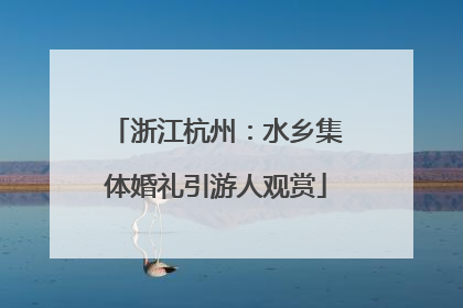 浙江杭州：水乡集体婚礼引游人观赏