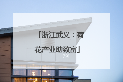 浙江武义：荷花产业助致富