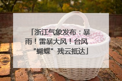 浙江气象发布：暴雨！雷暴大风！台风“蝴蝶”残云抵达