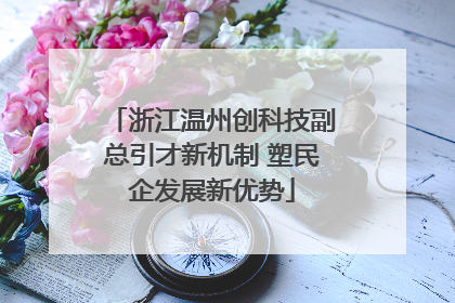 浙江温州创科技副总引才新机制 塑民企发展新优势