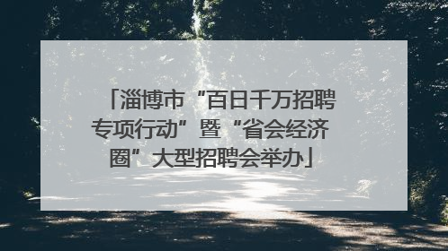淄博市“百日千万招聘专项行动”暨“省会经济圈”大型招聘会举办