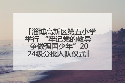 淄博高新区第五小学举行 “牢记党的教导 争做强国少年”2024级分批入队仪式