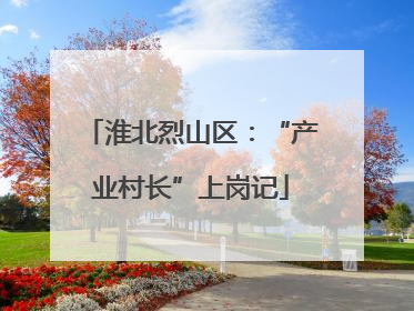 淮北烈山区：“产业村长”上岗记