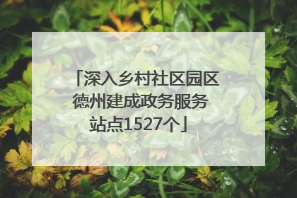 深入乡村社区园区 德州建成政务服务站点1527个