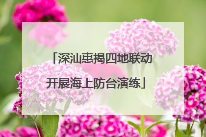 深汕惠揭四地联动开展海上防台演练