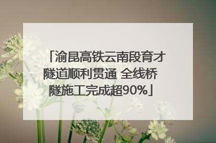 渝昆高铁云南段育才隧道顺利贯通 全线桥隧施工完成超90%