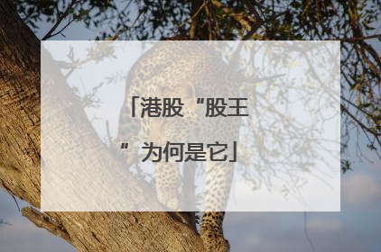 港股“股王”为何是它