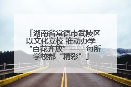 湖南省常德市武陵区以文化立校 推动办学“百花齐放”——每所学校都“精彩”