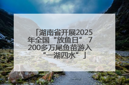 湖南省开展2025年全国“放鱼日” 7200多万尾鱼苗游入“一湖四水”