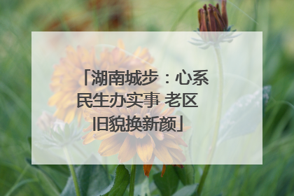 湖南城步：心系民生办实事 老区旧貌换新颜