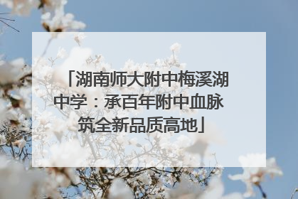 湖南师大附中梅溪湖中学：承百年附中血脉 筑全新品质高地