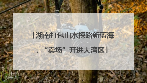 湖南打包山水探路新蓝海，“卖场”开进大湾区