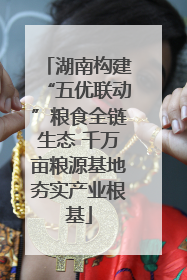 湖南构建“五优联动”粮食全链生态 千万亩粮源基地夯实产业根基