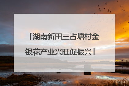 湖南新田三占塘村金银花产业兴旺促振兴