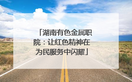 湖南有色金属职院：让红色精神在为民服务中闪耀