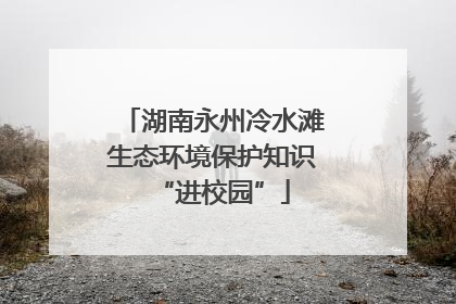 湖南永州冷水滩生态环境保护知识“进校园”