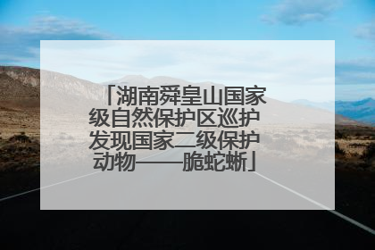 湖南舜皇山国家级自然保护区巡护发现国家二级保护动物——脆蛇蜥