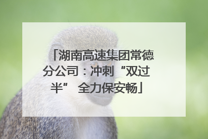 湖南高速集团常德分公司：冲刺“双过半” 全力保安畅