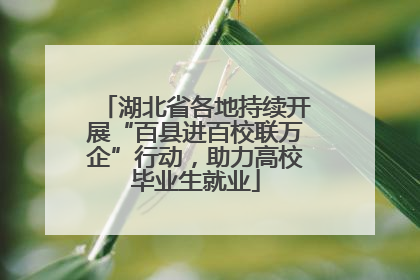 湖北省各地持续开展“百县进百校联万企”行动，助力高校毕业生就业