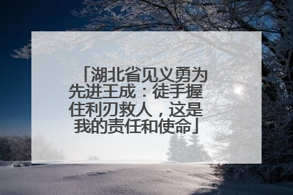 湖北省见义勇为先进王成：徒手握住利刃救人，这是我的责任和使命