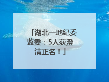 湖北一地纪委监委：5人获澄清正名！