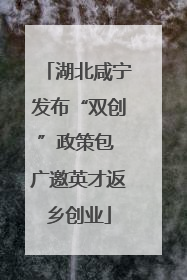 湖北咸宁发布“双创”政策包 广邀英才返乡创业