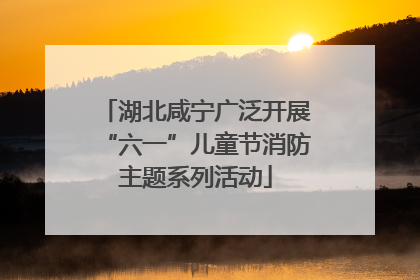 湖北咸宁广泛开展“六一”儿童节消防主题系列活动