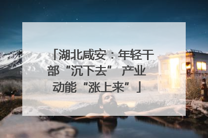 湖北咸安：年轻干部“沉下去” 产业动能“涨上来”