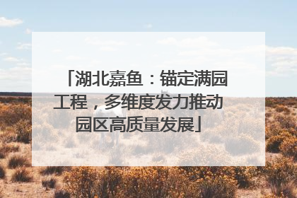 湖北嘉鱼：锚定满园工程，多维度发力推动园区高质量发展