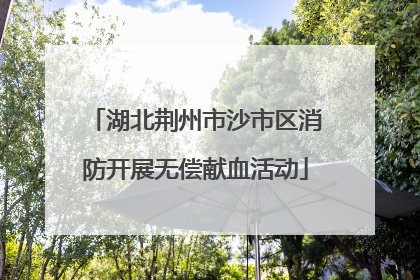 湖北荆州市沙市区消防开展无偿献血活动