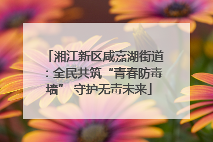 湘江新区咸嘉湖街道：全民共筑“青春防毒墙” 守护无毒未来