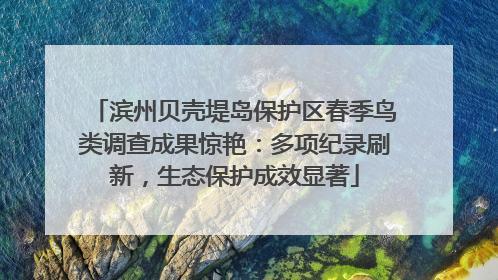 滨州贝壳堤岛保护区春季鸟类调查成果惊艳：多项纪录刷新，生态保护成效显著