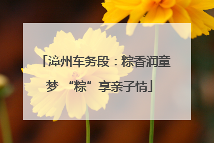 漳州车务段：粽香润童梦 “粽”享亲子情