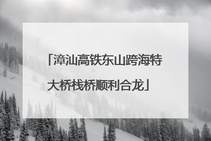 漳汕高铁东山跨海特大桥栈桥顺利合龙