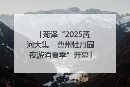 菏泽“2025黄河大集—曹州牡丹园夜游消夏季”开幕